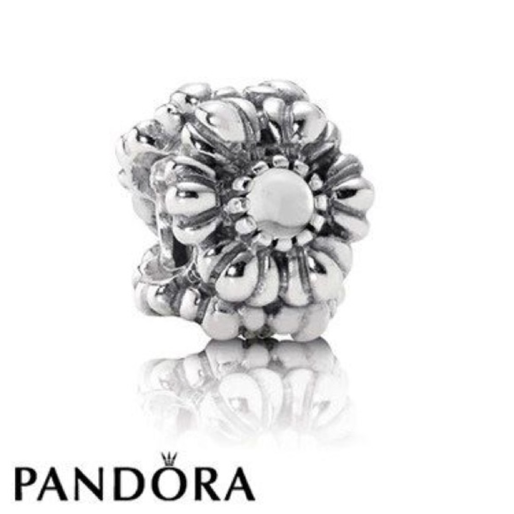 April Birthday Bloom Charm From Pandora
